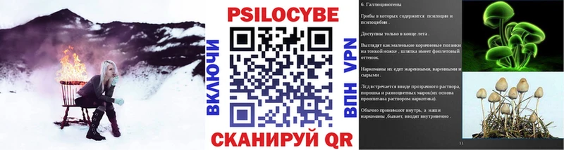 Галлюциногенные грибы мицелий  Купить закладки  Катайск 